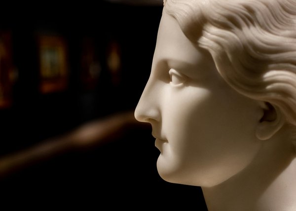 Panneau solaire photovoltaïque : choisir le meilleur pour votre habitat