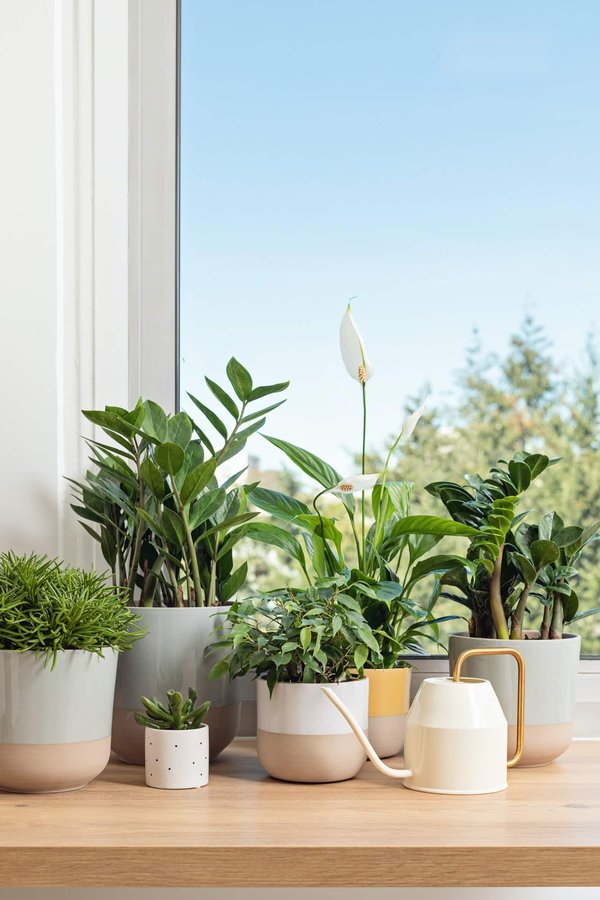 Astuces pour fabriquer un filtre à air naturel pour votre maison