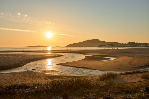 Est-ce que le Coca-cola Débouche-t-il les canalisations ?