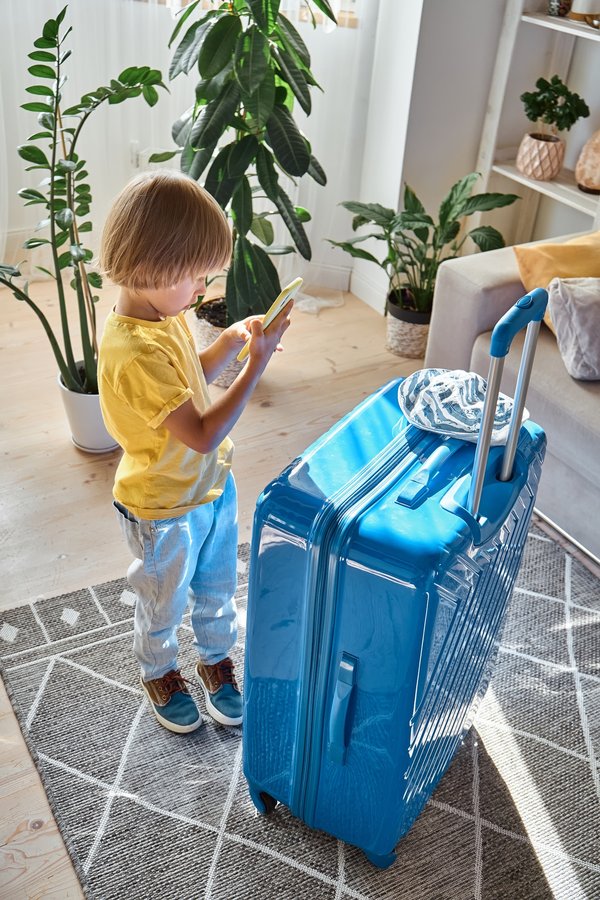 Les LEGO Dragon Ball Z sont-ils éducatifs ?