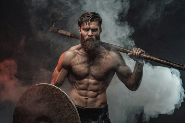 Qui a vaincu les Vikings en France ?