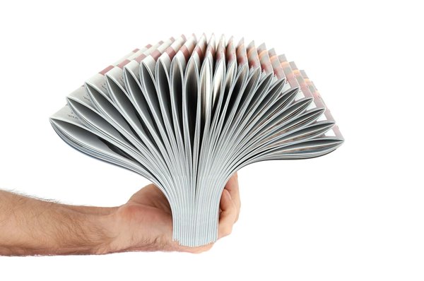 Blog maison contenant des informations pertinentes